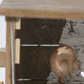 wohndesign